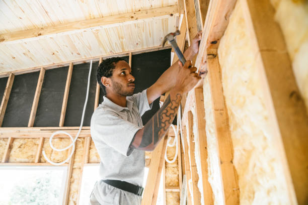 Best Insulation Removal  in Alameda, CA